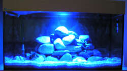 Mondlicht mit 15sek. Belichtungszeit 12.08.08