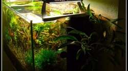 Von der Seite 17.08.2009