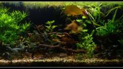 Vor der Umgestaltung