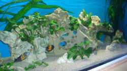 Aquarium Becken 979