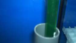 Dekoration im Aquarium Becken 9800