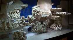 Dekoration im Aquarium Becken 9800