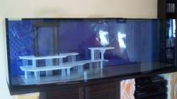 Dekoration im Aquarium Becken 9800