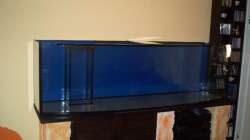 Dekoration im Aquarium Becken 9800