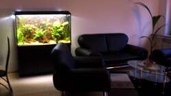 Aquarium Becken 9926