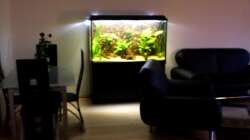 Aquarium Becken 9926