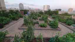 Urban Gardening: Grüne Oasen mitten in der Stadt