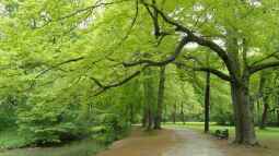Ist der Englische Garten in München eine Reise wert?