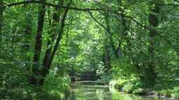 Ist der Englische Garten in München eine Reise wert?