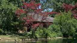 Ist der Englische Garten in München eine Reise wert?