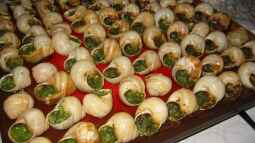 Weinbergschnecken: Delikatesse mit Ekelfaktor