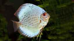 Wasser ist nicht Wasser: Warum die Wasserwerte wichtig sind