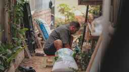 Gartenpflanzen im Winterquartier: Wichtige Pflegemaßnahmen