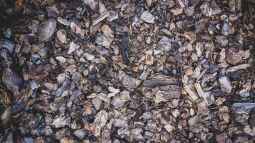 So bekommst du humusreichen Gartenboden