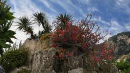 Lichtverhältnisse verstehen: Schatten, Halbschatten, Sonne