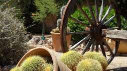 Südfrankreich in Deutschland: Den Garten nach Vorbild der Côte dAzur gestalten