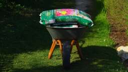 Welche Blumenerde ist die Richtige?