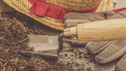 Welche Blumenerde ist die Richtige?