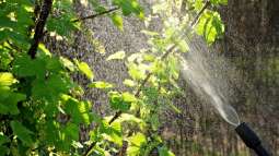 Einsatz von Pestiziden und Herbiziden minimieren