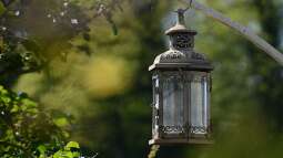 Gartenbeleuchtung: Sicherheit oder Lichtverschmutzung?