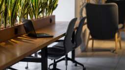 Die besten Zimmerpflanzen für dein Büro oder Homeoffice