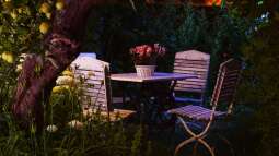 Der Blick auf den Teich: Frühjahrs-Check der Lieblingsplätze