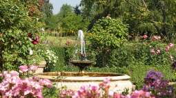 Wie kann man einen Springbrunnen im Garten oder Teich installieren?