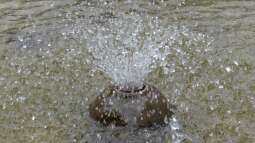 Wie kann man einen Springbrunnen im Garten oder Teich installieren?