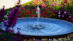 Wie kann man einen Springbrunnen im Garten oder Teich installieren?