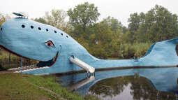 Die Route 66 für Tierliebhaber