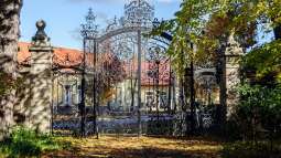 Rolle, Funktion und Nutzen: Welche Bedeutung haben Botanische Gärten?