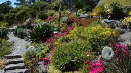 Rolle, Funktion und Nutzen: Welche Bedeutung haben Botanische Gärten?