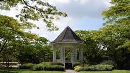 Rolle, Funktion und Nutzen: Welche Bedeutung haben Botanische Gärten?