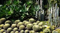 Rolle, Funktion und Nutzen: Welche Bedeutung haben Botanische Gärten?