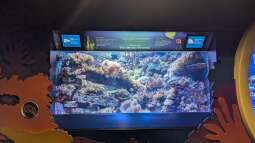 Ausflugsziel für Aquarianer: Das New York Aquarium