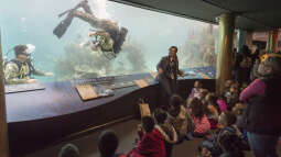 Ausflugsziel für Aquarianer: Das New York Aquarium