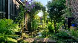 Naturteiche - Lebensraum statt Deko-Objekt