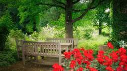 Der optimale Standort für die Sitzecke im Garten