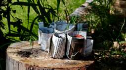 Begriffe erklärt: Was verseht man unter Permakultur?