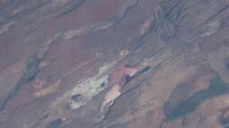 Der Ostafrikanische Graben aus Sicht der Aquaristik