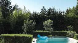 Bepflanzung rund um den Swimmingpool: Darauf solltest du achten