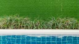Bepflanzung rund um den Swimmingpool: Darauf solltest du achten