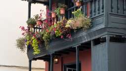 Bienen- und hummelfreundliche Balkonpflanzen: So gestaltest du einen lebendigen und nachhaltigen Balkon