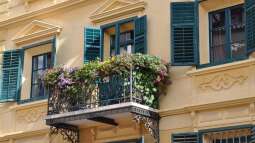 Bienen- und hummelfreundliche Balkonpflanzen: So gestaltest du einen lebendigen und nachhaltigen Balkon