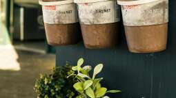 Begriffe erklärt: Was ist Vertical Gardening?