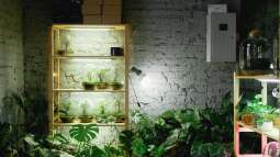 Begriffe erklärt: Was ist Vertical Gardening?