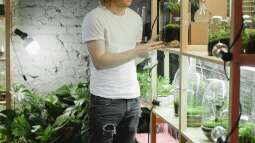 Begriffe erklärt: Was ist Vertical Gardening?