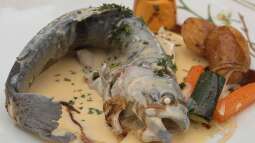 Fisch in der Küche – gesund, vielseitig und beliebt