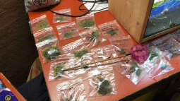 Aqua-Day 2018 der Aquarienfreunde Tirol