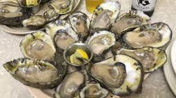 Austernzucht: Die Geheimnisse hinter den Meeresdelikatessen